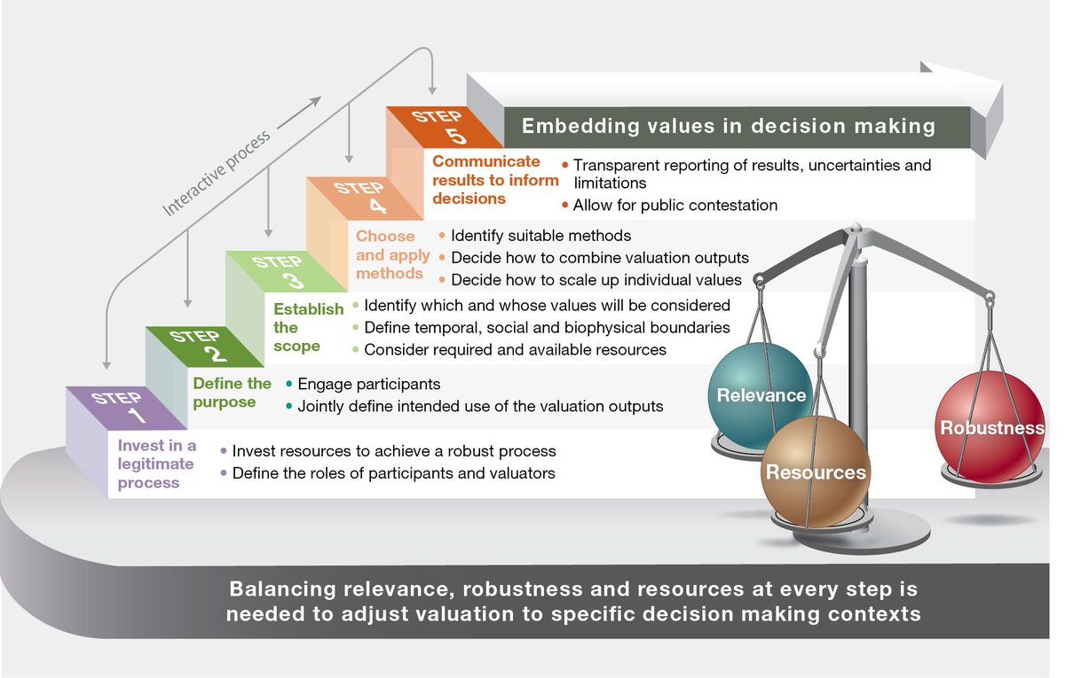 IPBES's tweet image. Valuation can support policymaking across the different stages of the policy cycle🔀

In each step, choices need to be made considering the trade-offs in valuation regarding the relevance, robustness, and resource requirements.

📖@IPBES #ValuesAssessment: bit.ly/IPBES_VA