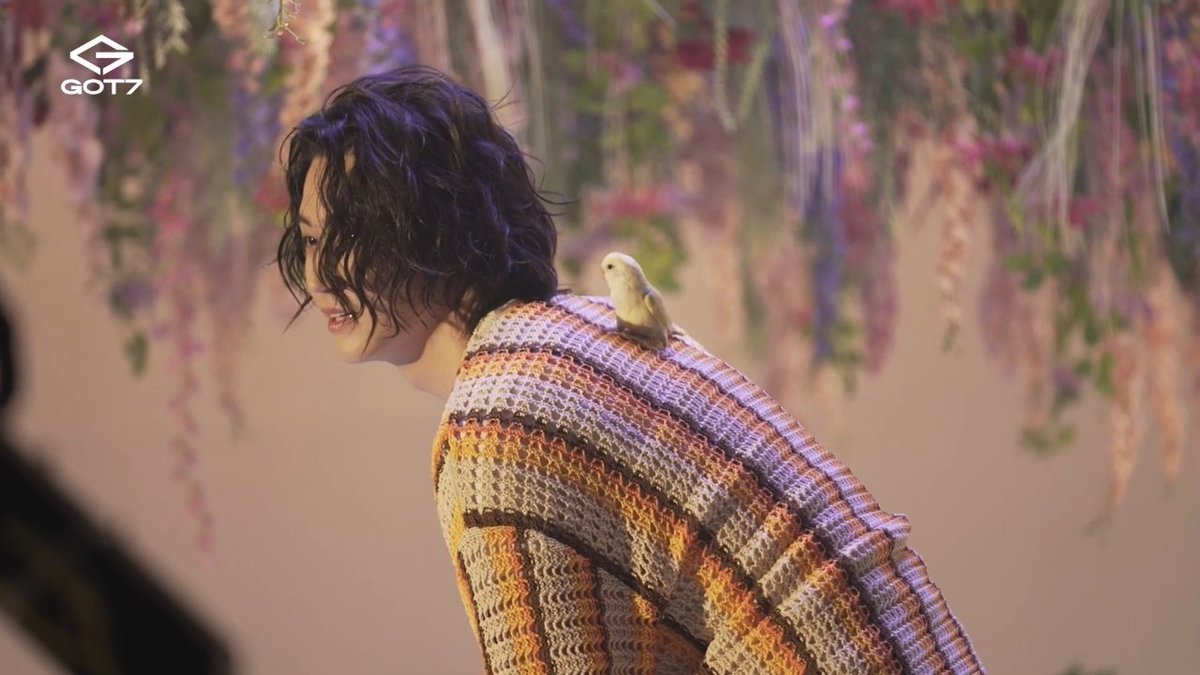 archive_Jaebeom's tweet photo. JAY B and the bird 🐥

#JAYB #제이비 @jaybnow_hr https://t.co/3J6pMaE2xk