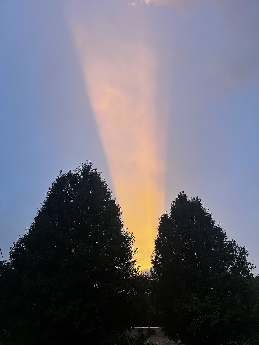 RayBreeding's tweet image. Tuscaloosa last night @BobVanDillen