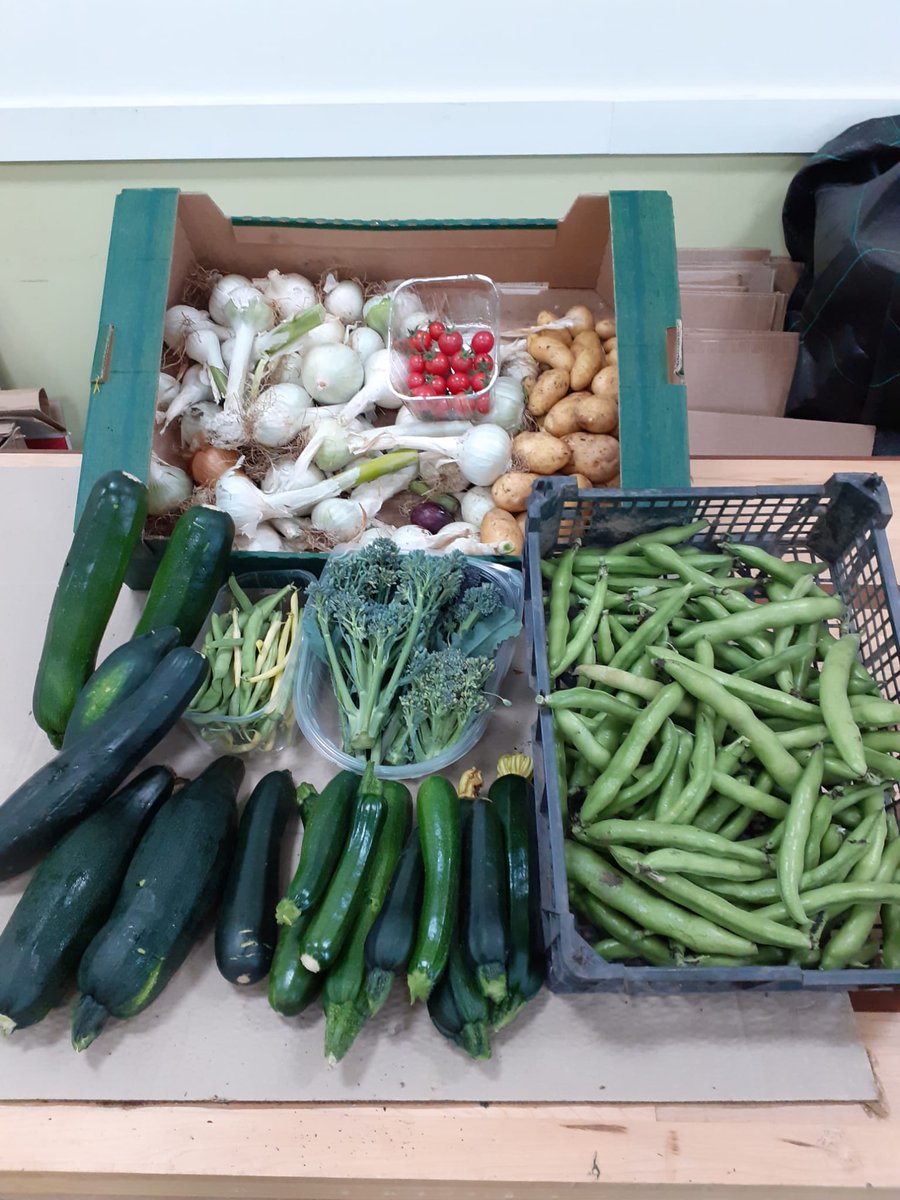 We were very excited to drop off our first delivery of produce to the Wyndham Street Pantry this week. After all this beautiful sun 🌞 there will be another delivery soon! #FoodCardiff #EdibleCardiff @SRCDC_Cardiff @SFarms_Gardens @foodcycle