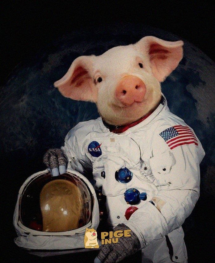 <a href="/CryptoTony__/">Crypto Tony</a> <a href="/PigeInu/">PIGE</a> ready to Moon Safely to Moon🐷🔥

Are you ready to go with us🐖

Get in Before Big Partnerships🚀🔥
Billboards Incoming(For CZ)😈👑

#PigeInu #PigeArmy #Oink #BSC