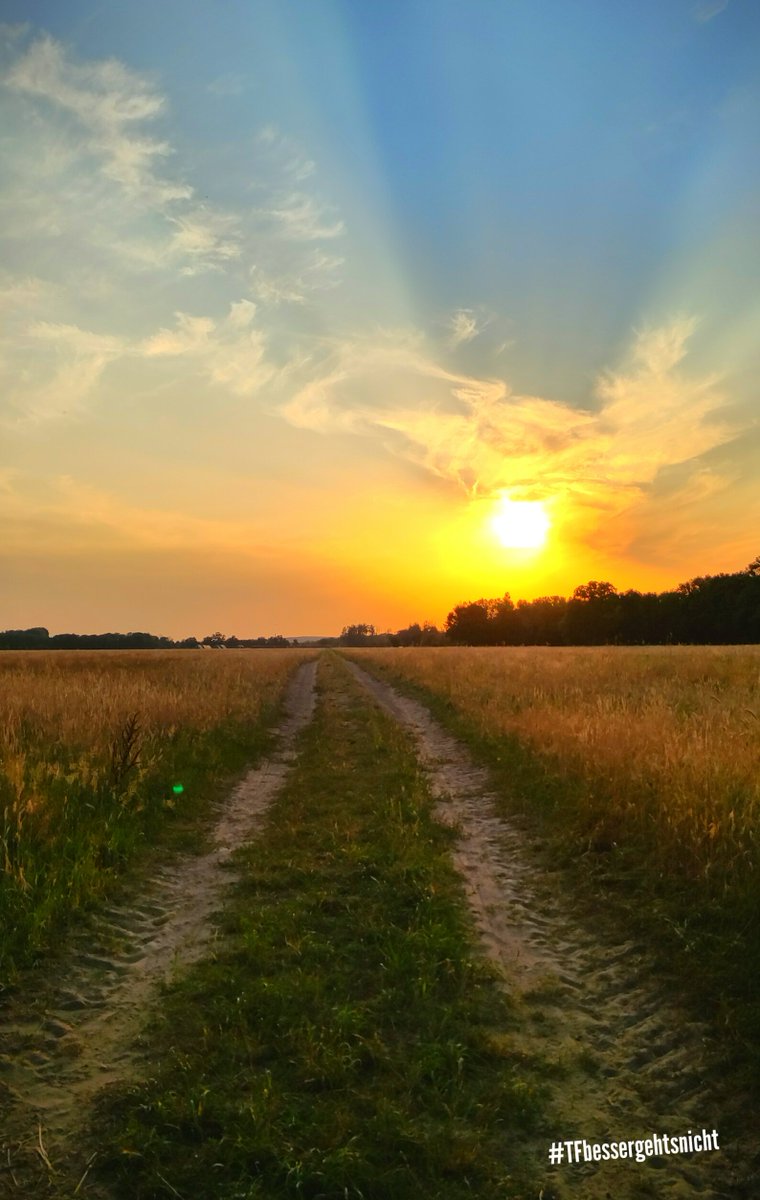 Teltow-Fläming & Brandenburg ❤ tweet media