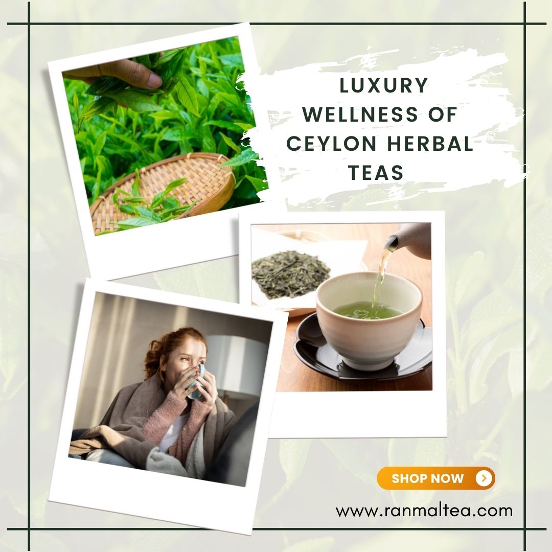 Every cup of Ranmal Tea is packed with the goodness of Ceylon Herbals. Choose the best Ranmal Herbal Tea that is suited for you!
 #organictea #australiatea #newsouthwalesaustralia #australia #ceylontea #healthylifestyle