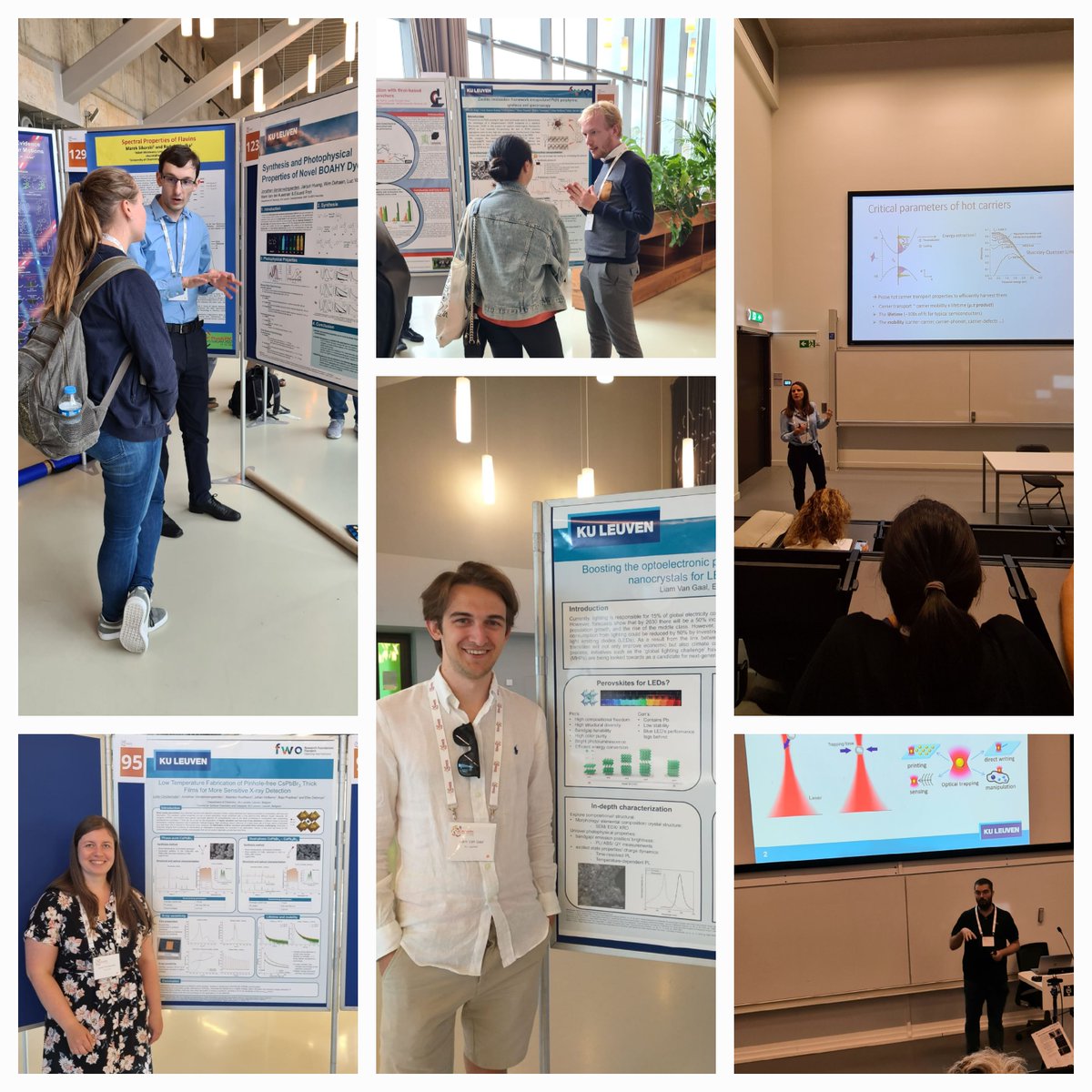 Debroye Group tweet media