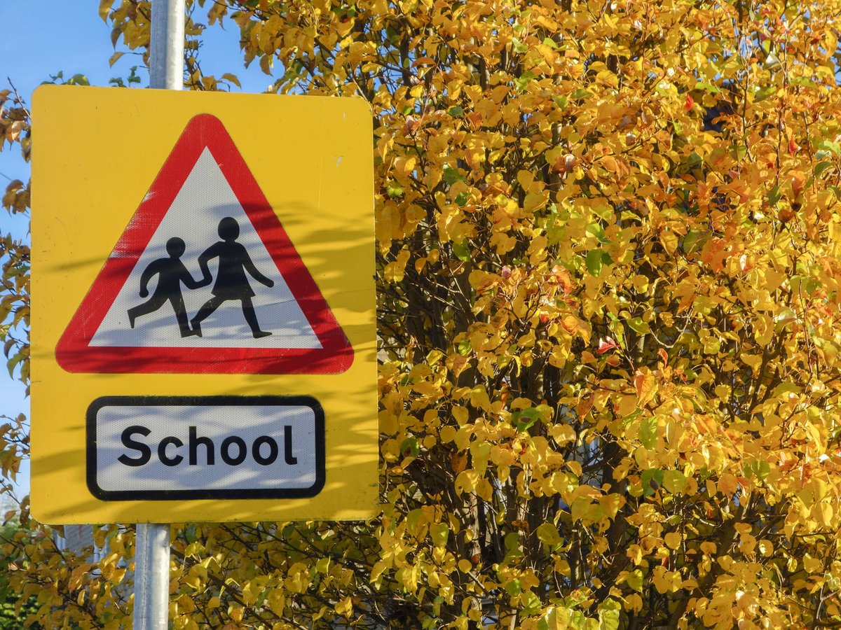 1/ Just a short reminder for parents and carers to please complete a ‘school transport request’ for their children before 25th July to help providers understand the likely number of primary and secondary students needing to use the service from the start of next term.