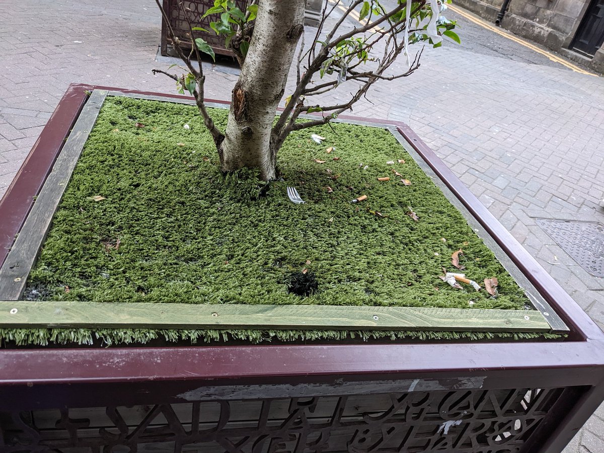RhinoAlive's tweet photo. @Shitlawns  @Edinburgh_CC @edinburghpaper

Planters on Rose Street #Edinburgh covered in the most awful ugly #fakegrass 
Why not let some real plants grow and give bees a chance.  Be good to see this ripped off before the festival. #plasticpollution https://t.co/T8qegiyN7m