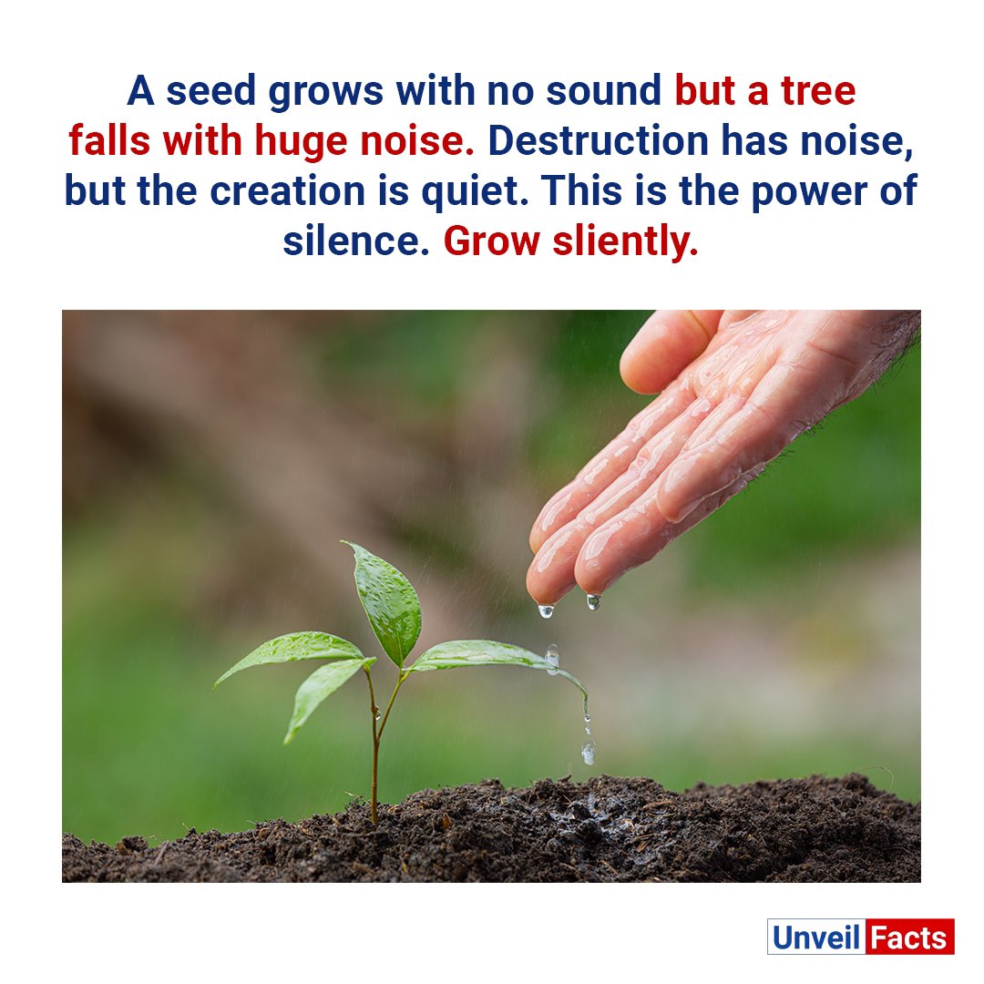 factsunveil's tweet photo. A seed grows with no sound but a tree
falls with huge noise.
@factsunveil
#unveilfact #unveilfacts #plants #plantsgrowth #nature #naturelover #natureeffect #plantation #PlantationDrive #treefact #silentgowth #greenbeauty #motivation #healthy #seedgrowth #seeding #landlords https://t.co/falOY9aT8p