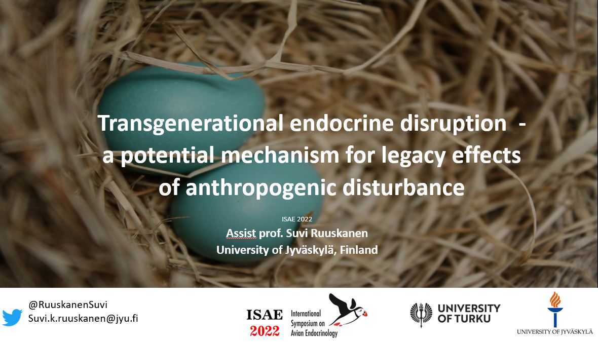 Suvi Ruuskanen tweet media