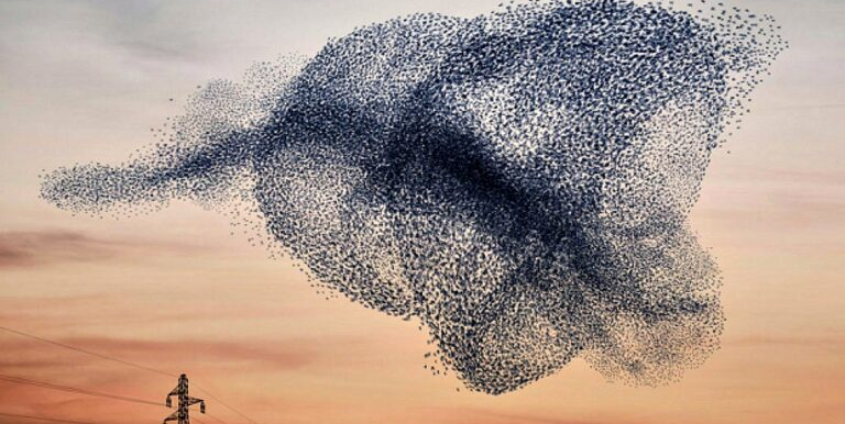 barbara_edge_ai's tweet photo. π’ Why is #edgemesh the next hot topic for Distributed Intelligence? The benefits are plenty: distributed processing, low latency, fault tolerance, increased scalability, and enhanced #security and #privacy. More π
#distributedintelligence #edgeAI
https://t.co/Glfri5FMVQ https://t.co/PomZxGTwJl