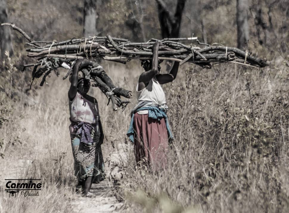 In the quest for cheaper fuel for cooking and keeping warm, every thursday, these Dete women risk their lives as they make forays into the  bush in search for firewood. The area is wildlife-infested with lions and other animals on the prowl.
By <a href="/CarmineVisuals/">Survivor_Nyasulu</a>
#communitydiaries
