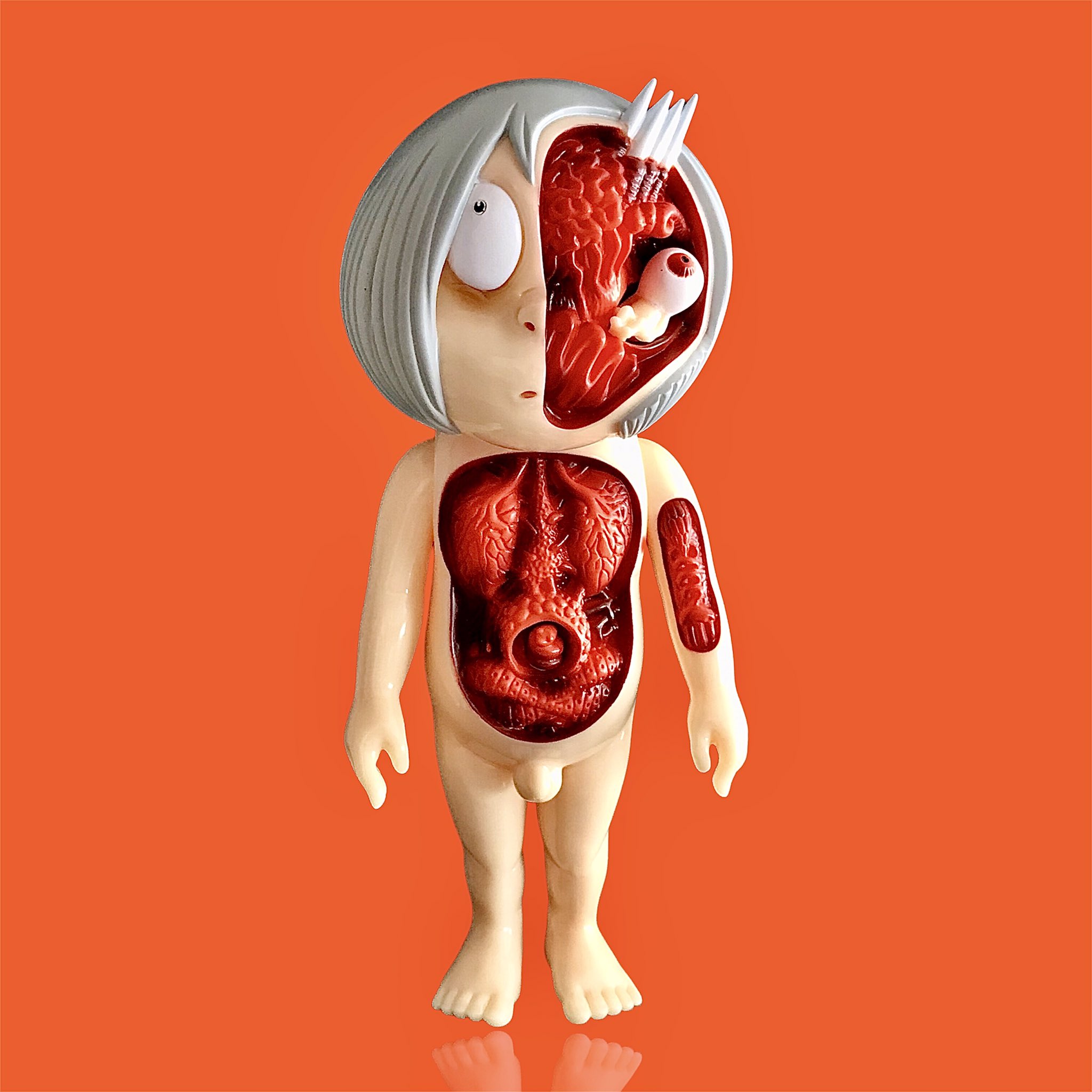 WF2022S ロクでナシ玩具 ゲゲゲの鬼太郎 大百科 からだのひみつ 解剖図