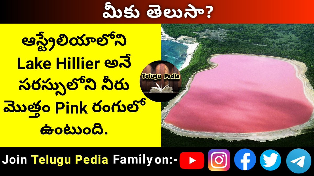 Telugu_Pedia's tweet photo. Follow Now @telugu_pedia_official for more interesting facts 💎📖 and subscribe our Telugu Pedia YouTube channel..link in bio .👆👆🤗

#australia
#lakehiller
#pinklakeaustralia
#pinkcolor
#factsintelugu
#telugufacts
#telugu
 #factsoflife #factsdaily #factsonfacts  #factsforlife https://t.co/XB476fTSQN