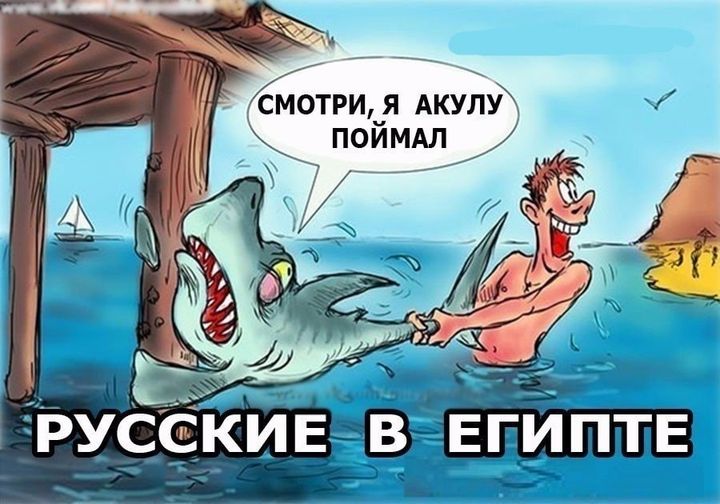 amitana57's tweet photo. ПРИЕХАЛИ ...
Порядок навели ... https://t.co/eIOsRU8qEt