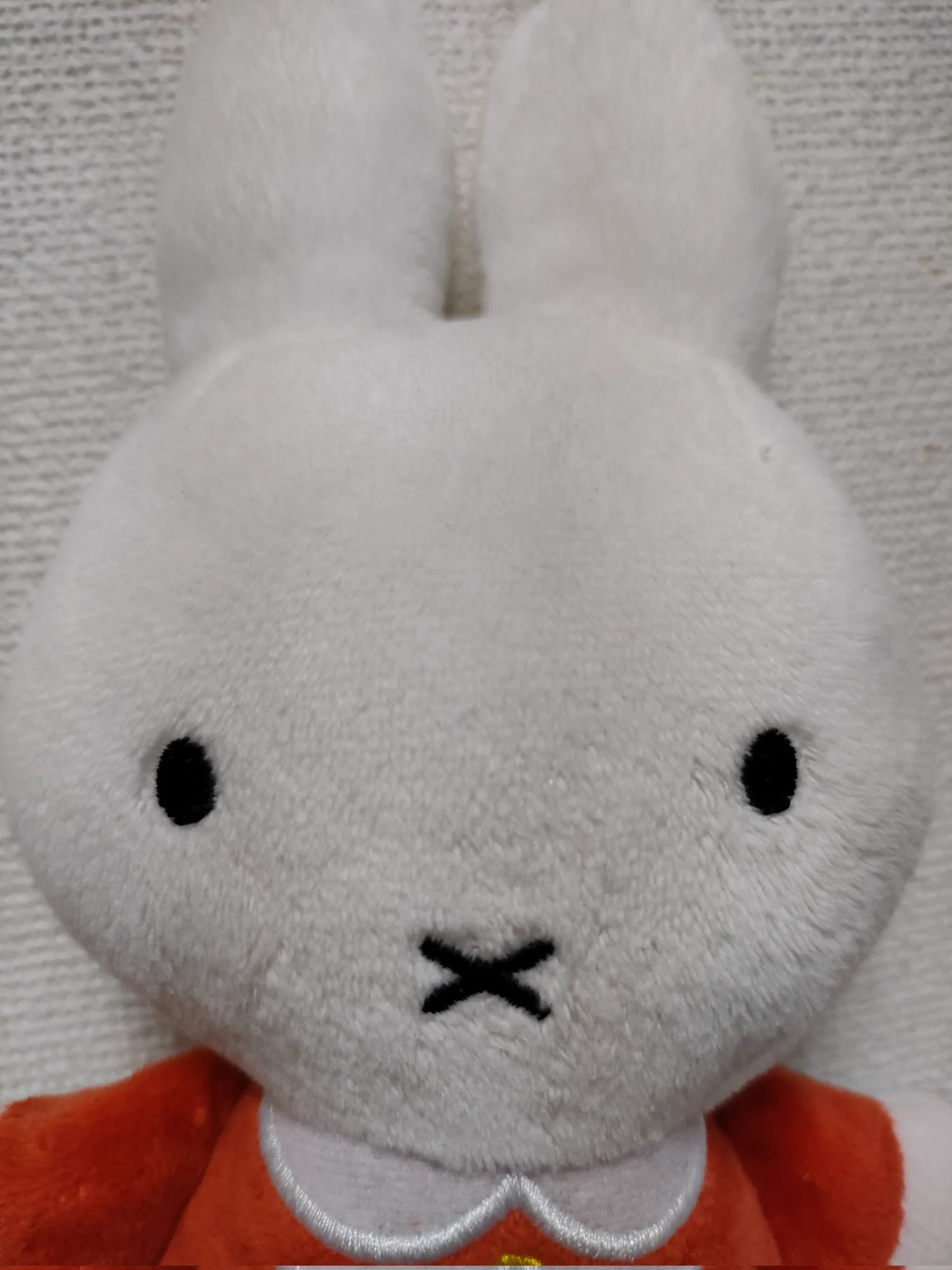 @miffyhouse_info メラニ〜 