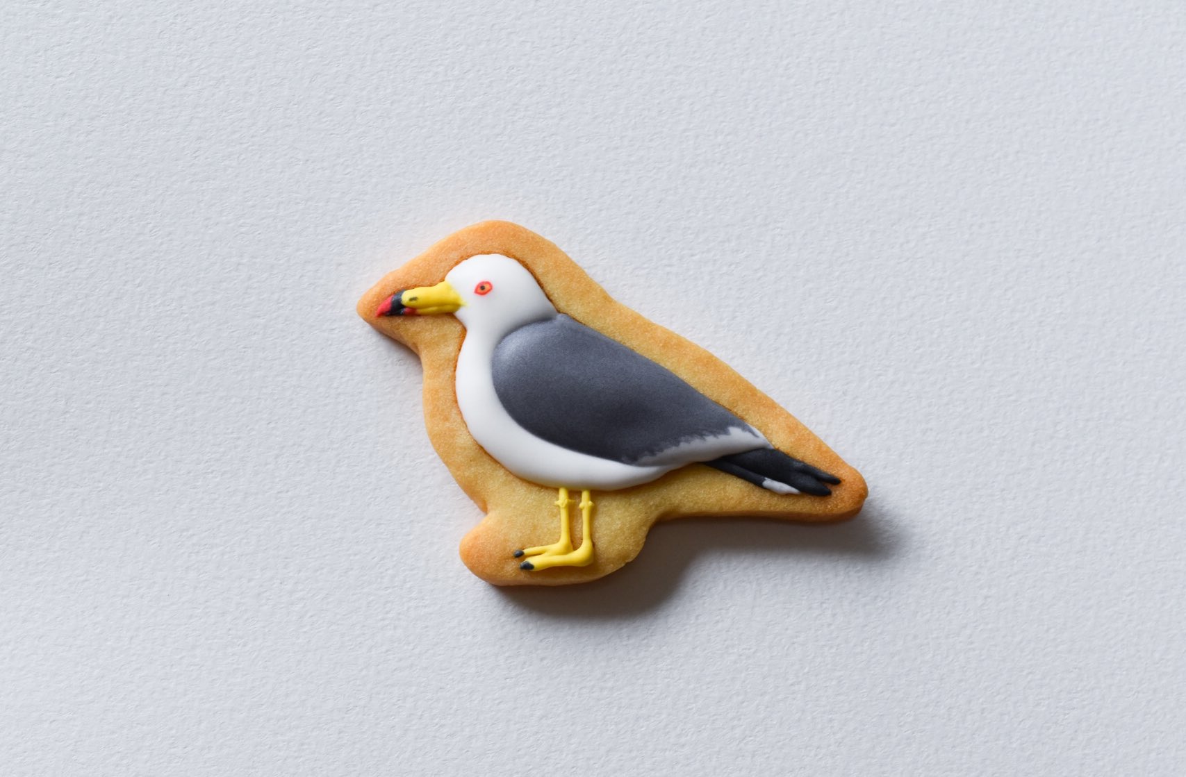 鳥類菓子図録 Vol 24 ウミネコ Black Tailed Gull ミャーオという鳴き声から 海猫 と名付けられる カモメとの見分け方は ウミネコはクチバシに黒や赤の模様が入る 黄色い目に赤い縁どりがあること カモメより目つきが鋭く見えます など