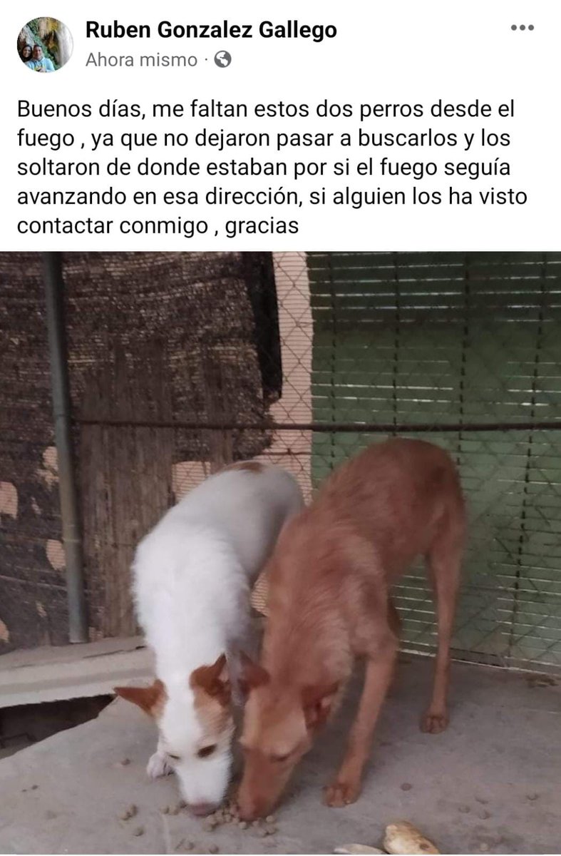 Mónica Montes 🐍 tweet media