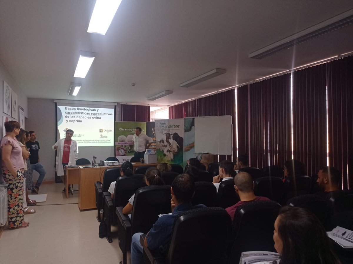 ASSAF.ESPAÑA tweet media