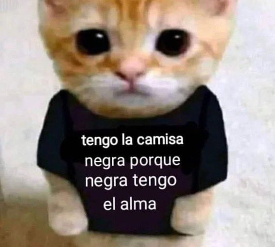 TODO MAL🔻 tweet media