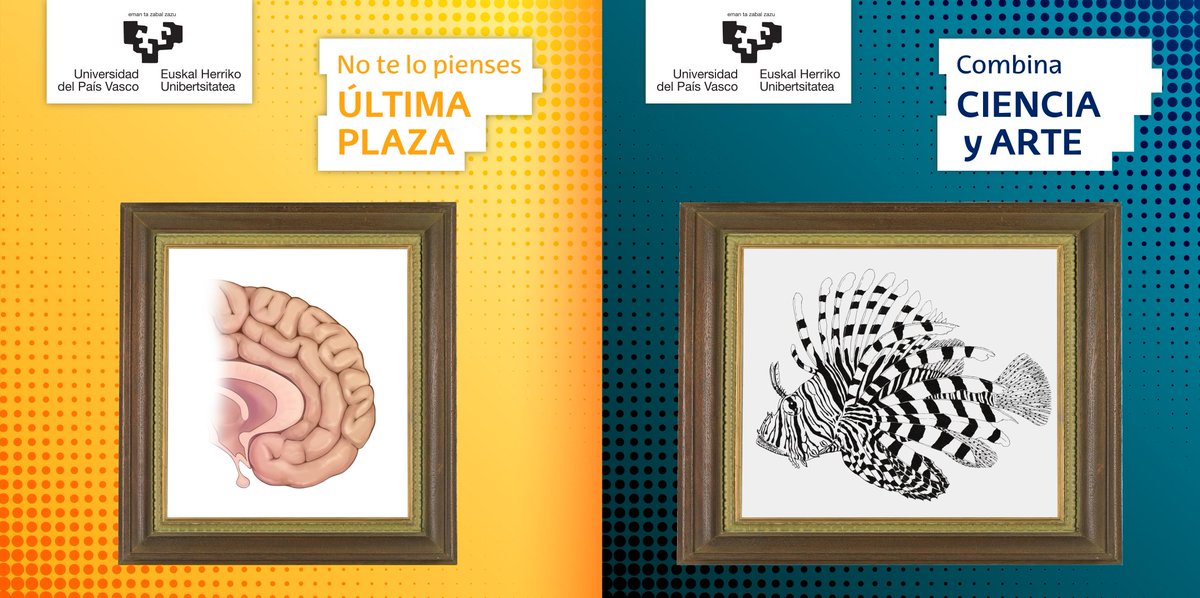 En <a href="/IlustraCienti/">Máster Propio de Ilustración Científica UPV/EHU</a> quedan plazas para el máster de #IlustraciónCientífica 22/23. 

✍️🦿🐦🪳🐟🌿🌲🌊✈️📽️

¡Queda mucho que ilustrar! ☺️ La ciencia necesita la imagen para poder avanzar y resolver todos los retos que tenemos por delante. 💪

👉 ehu.eus/ilustracion-ci…