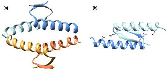 New paper out!

'Structural Basis of Mutation-Dependent p53 Tetramerization Deficiency'

A great experimental-computational work in collaboration with our colleagues from @CIBIO_UniTrento.

mdpi.com/1422-0067/23/1…