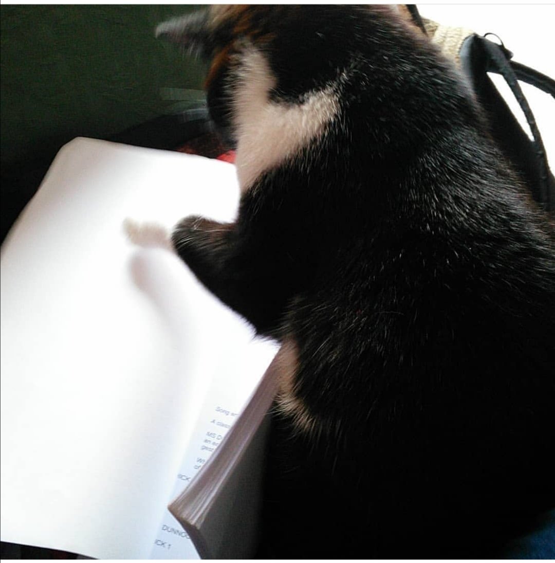 Gorgeous morning chatting #DepartureLounge &amp; #BritishMT with <a href="/DougalIrvine/">Dougal Irvine</a> for mine &amp; <a href="/GusGowland/">Gus Gowland</a>'s forthcoming book. As ever Zod the cat had to make an appearance &amp; share her thoughts! Here's a pic of her researching earlier.