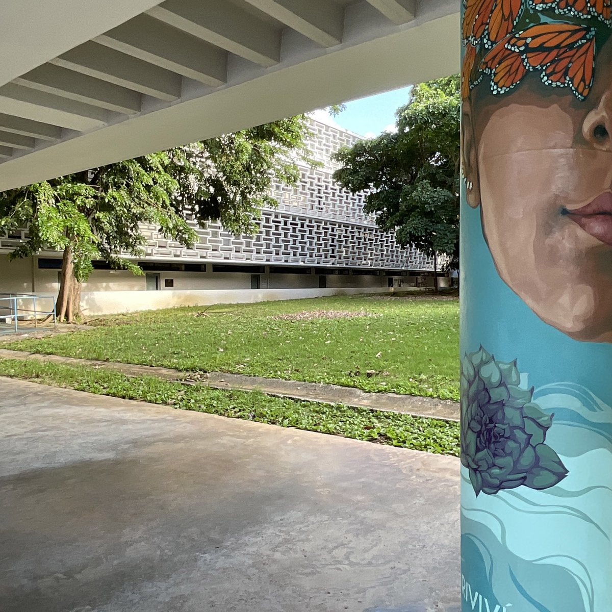 Business Administration and Social Sciences Buildings. University of Puerto Rico. Architect Henry Klumb. Photo Andrea Parga, 2022. Source Research and dissemination project FotoExploratorio #klumb #university #view #visualclues #color #photo #modernarchitecture #fotoexploratorio