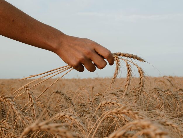 Crisis alimentaria