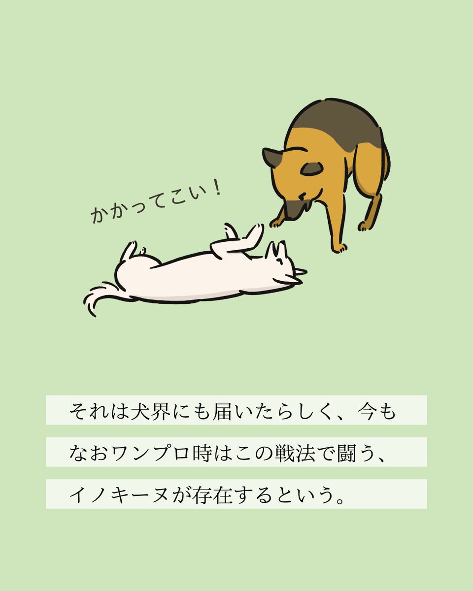 【#変な犬図鑑】
No.196 イノキーヌ
ワンプロの時に猪木アリ状態になるあの犬です。 