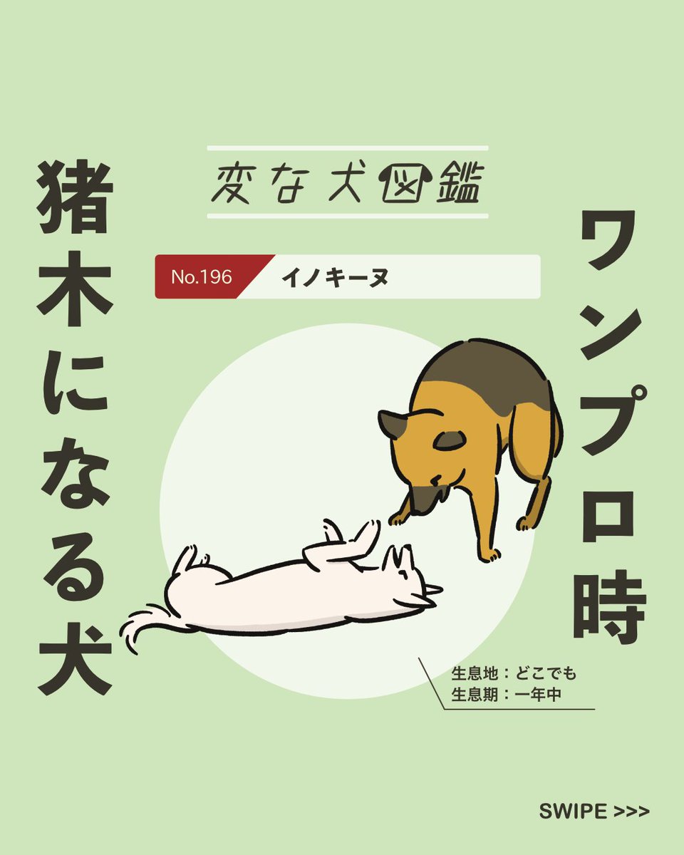 【#変な犬図鑑】
No.196 イノキーヌ
ワンプロの時に猪木アリ状態になるあの犬です。 