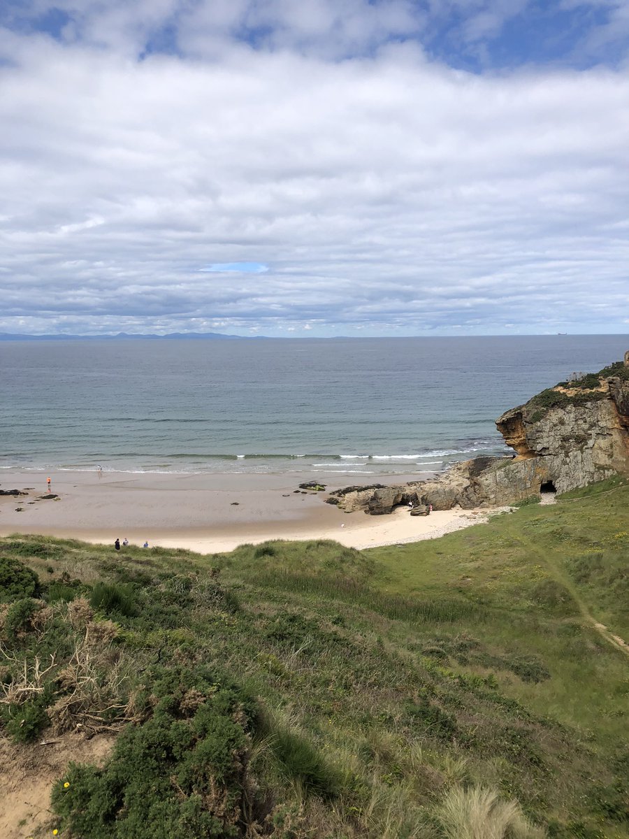 Blackbird: A Story on Lyme Disease tweet media