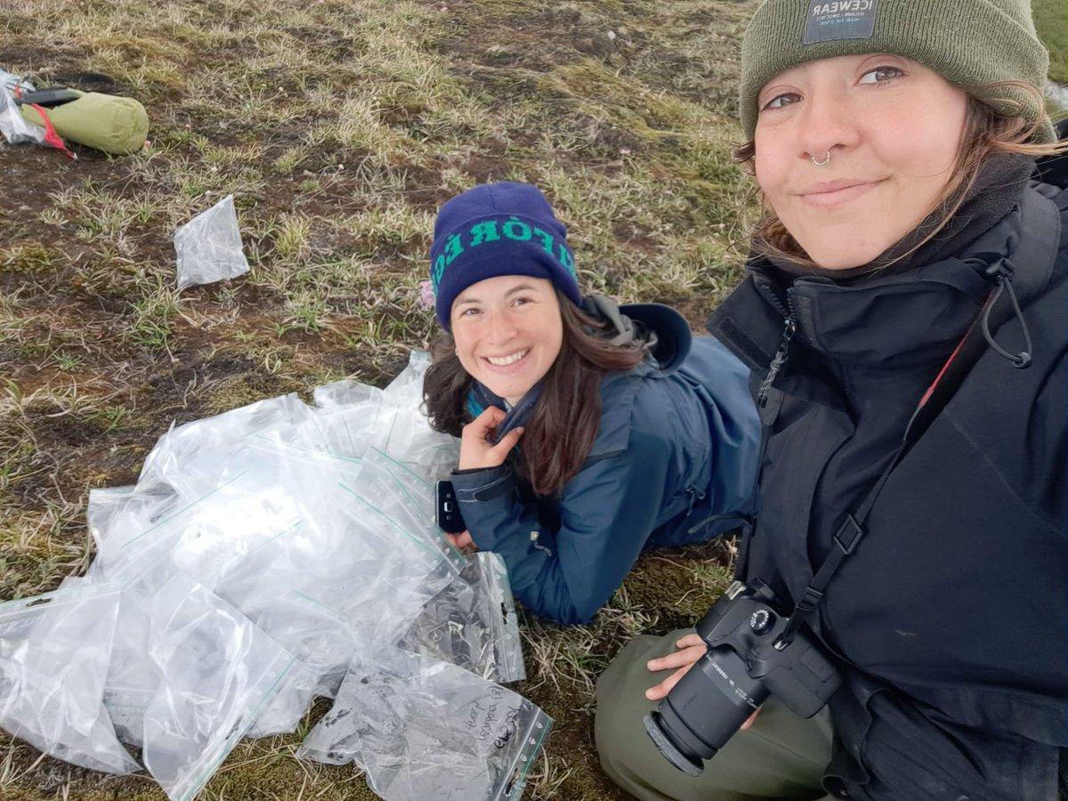 Would you like to do #fieldwork in the Icelandic highlands? Mathilde Defourneaux is looking for a field assistant 25 Aug - 10 Sept to join her in Fljótsdalshreppur! bit.ly/3RLXDzU <a href="/lbhi_is/">Landbúnaðarháskóli Íslands - LBHÍ</a> <a href="/vistfr/">The Ecological Society of Iceland</a> <a href="/NoemieBLap/">Noémie Boulanger-Lapointe</a> <a href="/laurabarberop/">Laura Barbero-Palacios</a> <a href="/HerbivoryN/">Herbivory Network</a>  🇮🇸