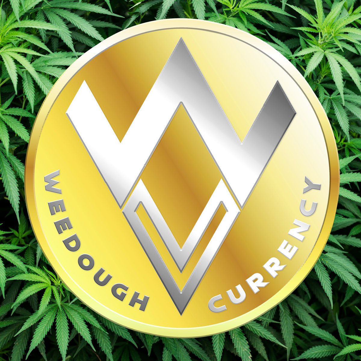 Who wants to win some #MONEY ???
Join THE FIRST #discord server to give #daily #Rewards of Weedough $WDV Token directly on our server.
👇Join now and tape : /daily👇
discord.gg/h7G6mMPWAc 
To #PlayToEarn some more #token : /games

#P2E #Giveaway #Solana #NFTs #Crypto #Web3