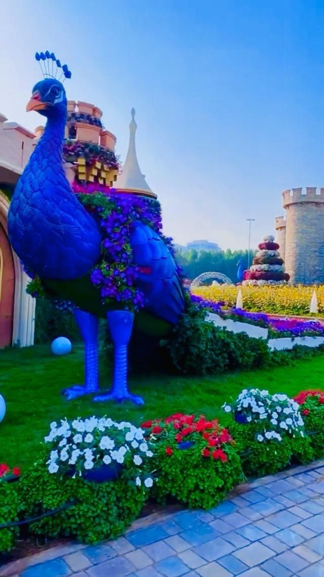 ElenaGrin6's tweet photo. Nice 🦚💚💙💜 https://t.co/zftZm3THQA