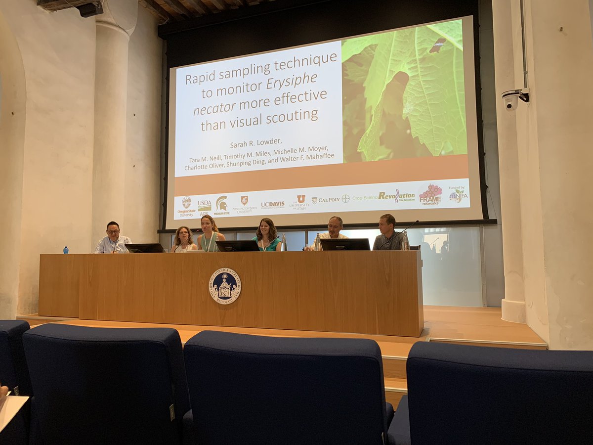 Alexander Wong (@alexwongscience) on Twitter photo Day 3 of #gdpm2022 with <a href="/iamSLowder/">Sarah Lowder, PhD</a> Going over rapid sampling techniques of 🍇powdery mildew! 🧤 Day 3 of #gdpm2022 with <a href="/iamSLowder/">Sarah Lowder, PhD</a> Going over rapid sampling techniques of 🍇powdery mildew! 🧤