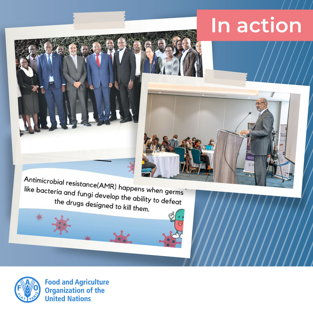 FAO Livestock tweet media