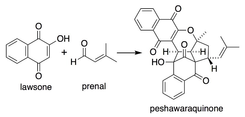 Please check out our latest one-step total synthesis of a complex natural product. Congratulations to lead author Tomas and thanks to @dmhuang @chriszombiechem @biomimetic_chem for their valuable contributions! chemrxiv.org/engage/chemrxi…