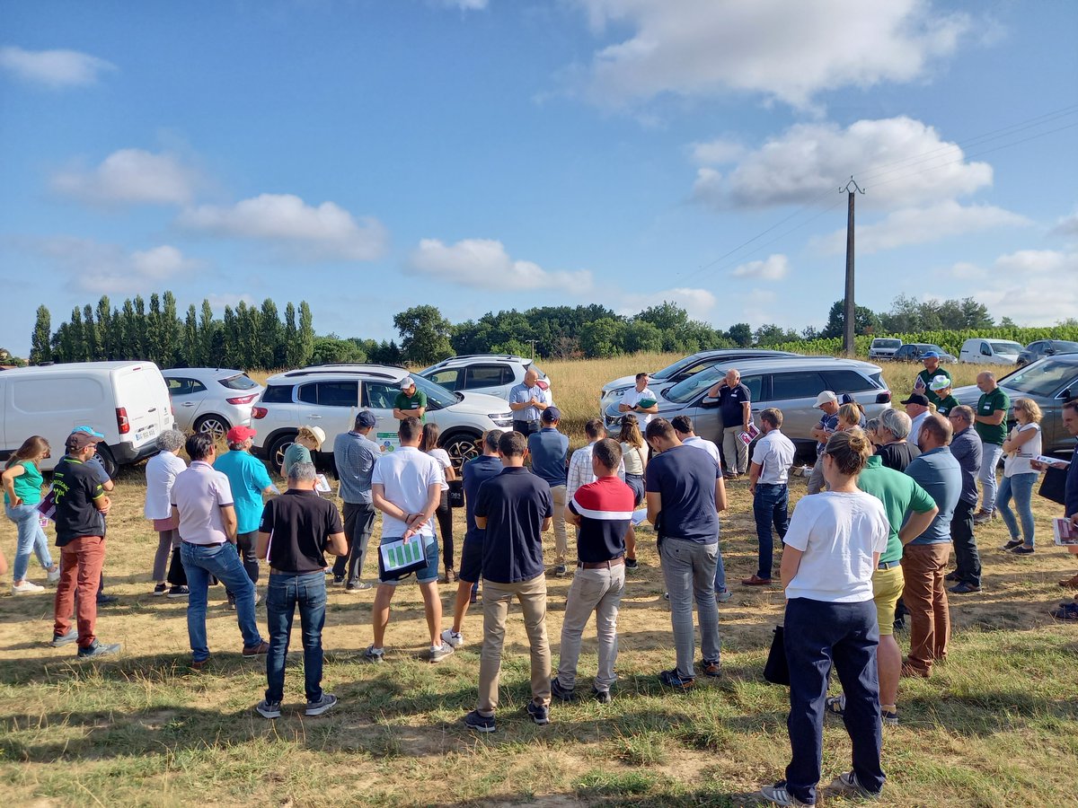 GroupeIsidore's tweet image. Le 21 juillet, les techniciens des adhérents Sud-Ouest du réseau Actura se sont réunis autour des essais vigne Etamines.

Des solutions et des innovations ont été présentées pour sécuriser les rendements et optimiser les IFT.

#agriculture #negoceagricole #etamines