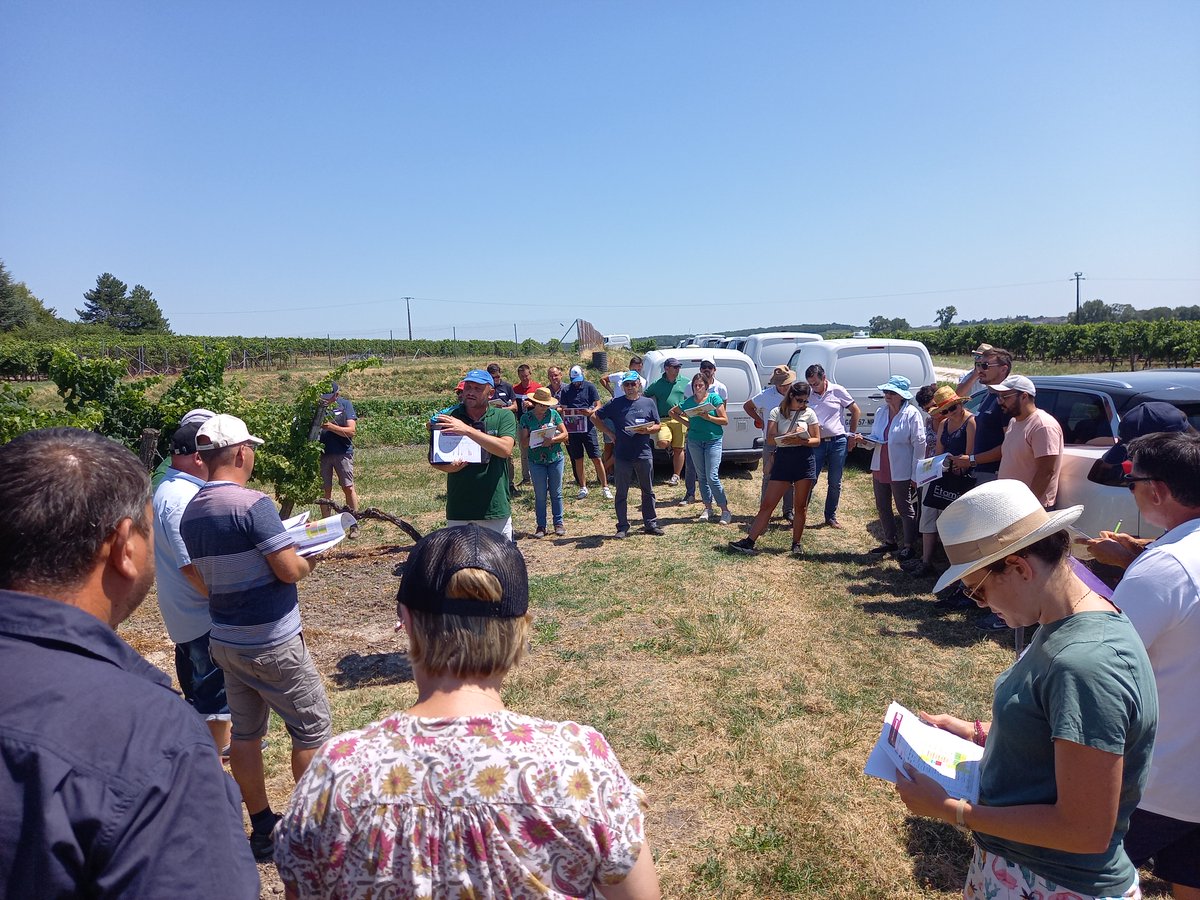 GroupeIsidore's tweet image. Le 21 juillet, les techniciens des adhérents Sud-Ouest du réseau Actura se sont réunis autour des essais vigne Etamines.

Des solutions et des innovations ont été présentées pour sécuriser les rendements et optimiser les IFT.

#agriculture #negoceagricole #etamines