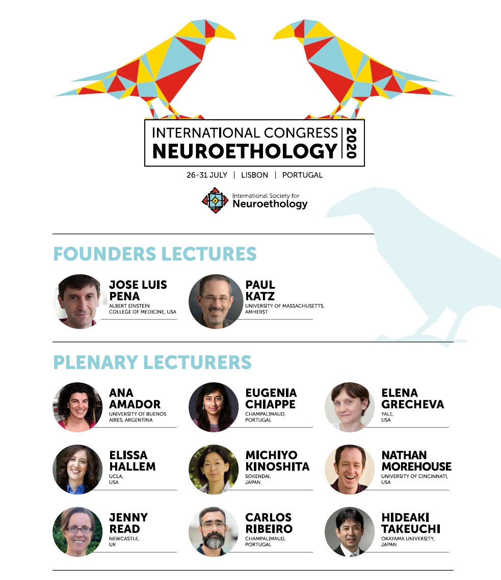 Now it is time to have everything ready to travel to Lisbon, to the International Congress of Neuroethology! @icn2020lisbon, @neuroethology. After COVID suspension, the conference is back with lots of exciting plenary lectures, symposia and posters! See you there!