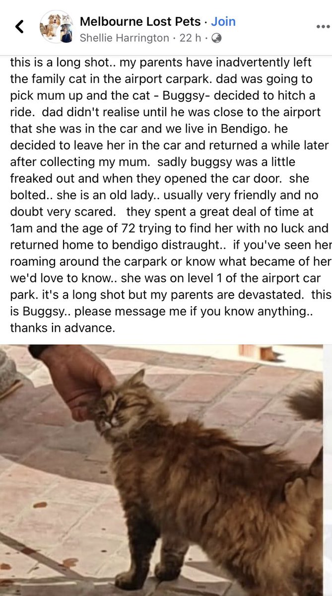 Have been writing a lot of travel industry stories lately. But this one is the one I want resolved most. Everyone keep your eye out!