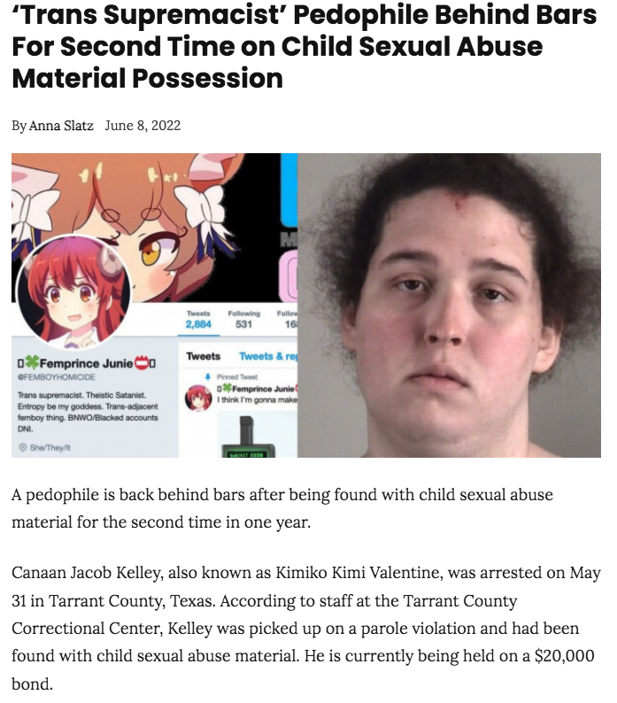 ripx4nutmeg's tweet photo. At least four prominent transgender activists - who the media, universities and organisations have platformed to promote the idea that children can be born in the wrong body - have been arrested for child sexual abuse offences in the last three months https://t.co/q67YwwBL6y