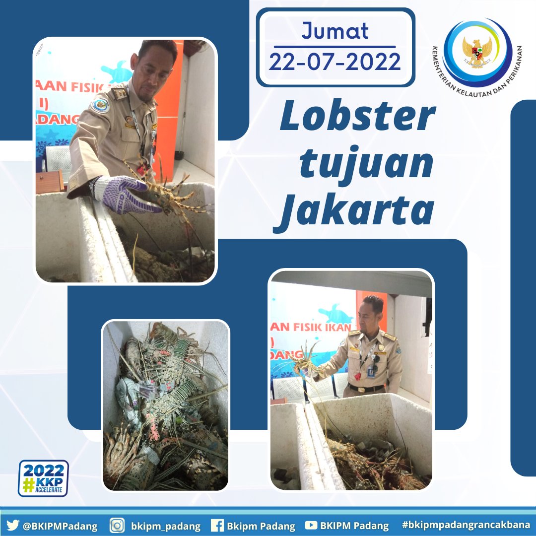 Jumat, 22 Juli 2022

Pemeriksaan kebenaran jenis, volume / jumlah komoditi lobster 250 ekor (7 koli) yang akan dilalulintaskan domestik tujuan Jakarta.

#KKPAccelerate #KKPGOID #MENTERIKKP #SAKTIWAHYUTRENGGONO
#BKIPM
#bkipmpadangrancakbana