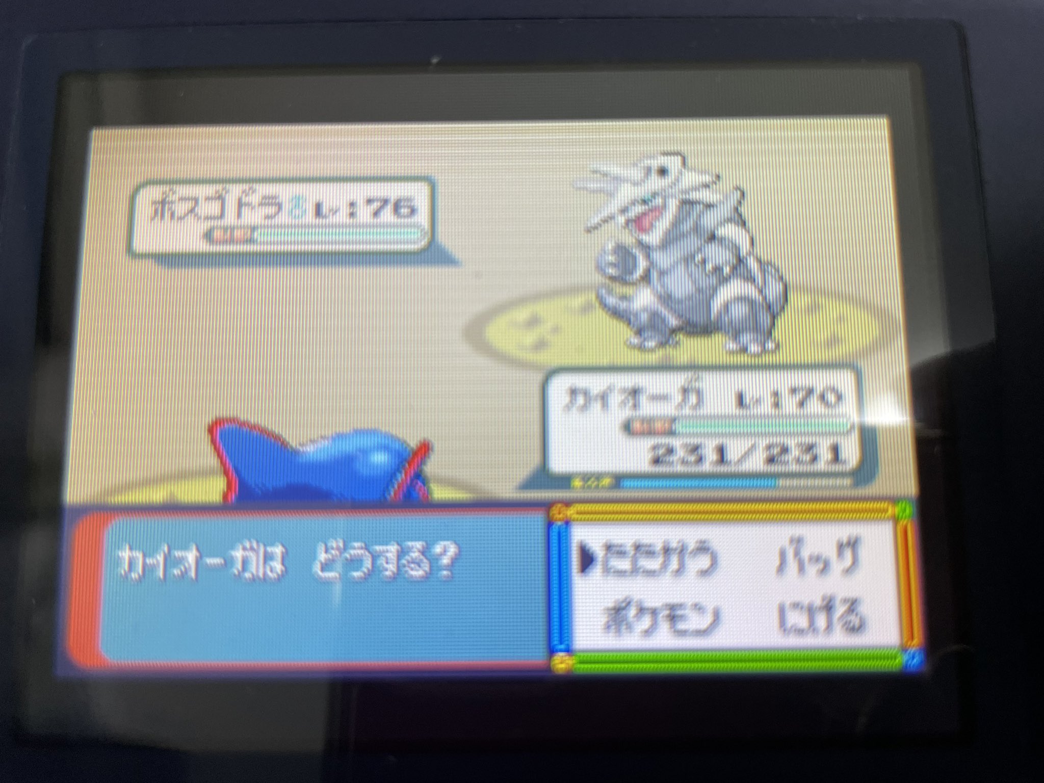 アペピリカ ポケモン垢 Apepilika Twitter