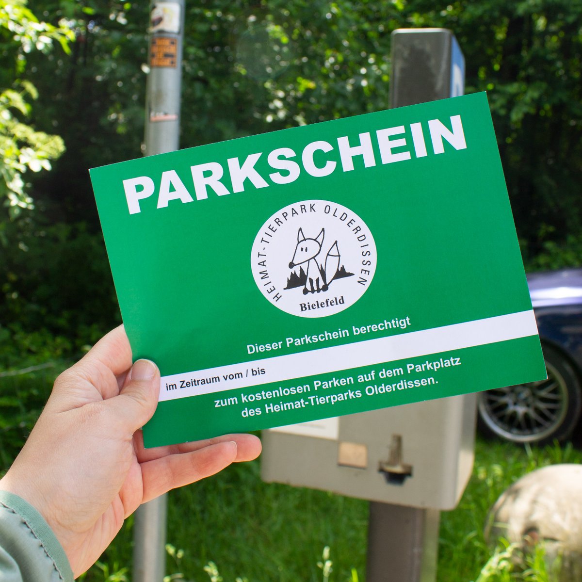 Keine Lust, bei jedem #Olderdissen-Besuch erst zum Parkschein-Automaten zu rennen? Im #Tierpark-Shop gibt es für 30 Euro einen Jahresparkschein! Damit kann man ein Jahr lang so oft auf dem Parkplatz parken, wie man möchte. #Bielefeld #StadtBielefeld #TierparkOlderdissen