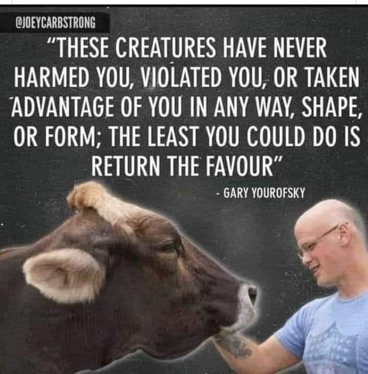 #vegan for them.🌱💚