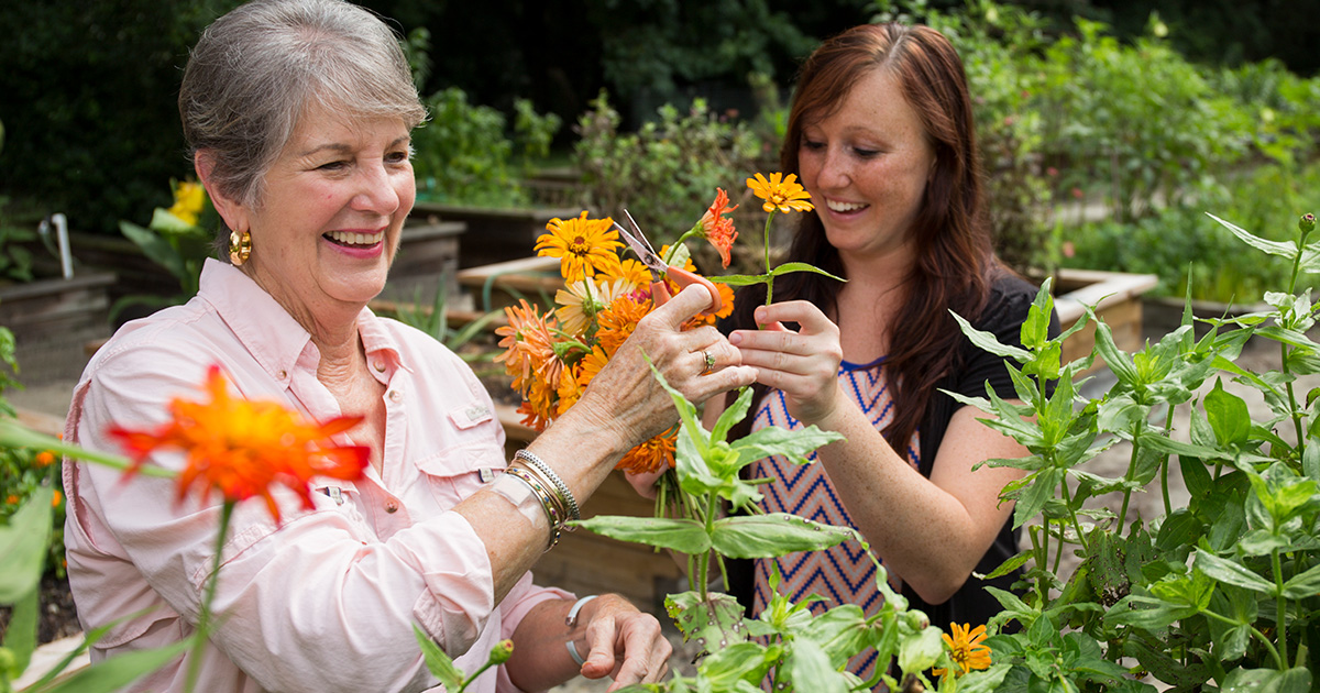 Gardening can cultivate better mental health
ow.ly/5VYx50JUzHY
#health #fitness #HR #happiness #mentalhealth #mindfulness #wellness #productivity #wellbeing #workplace #business #success #leadership #safety #depression #recovery #stress #kindness #anxiety #psychology
