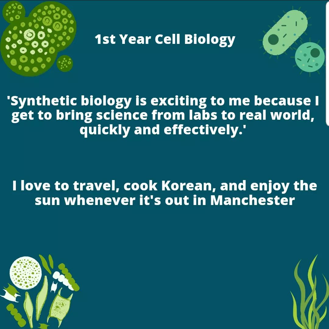 Meet our team! Yebeen Julia Kim is a 1st Year Cell Biology student and she is our Co-Leader of Social Media and part of the Wet Lab team!
#iGEM #Syntheticbiology