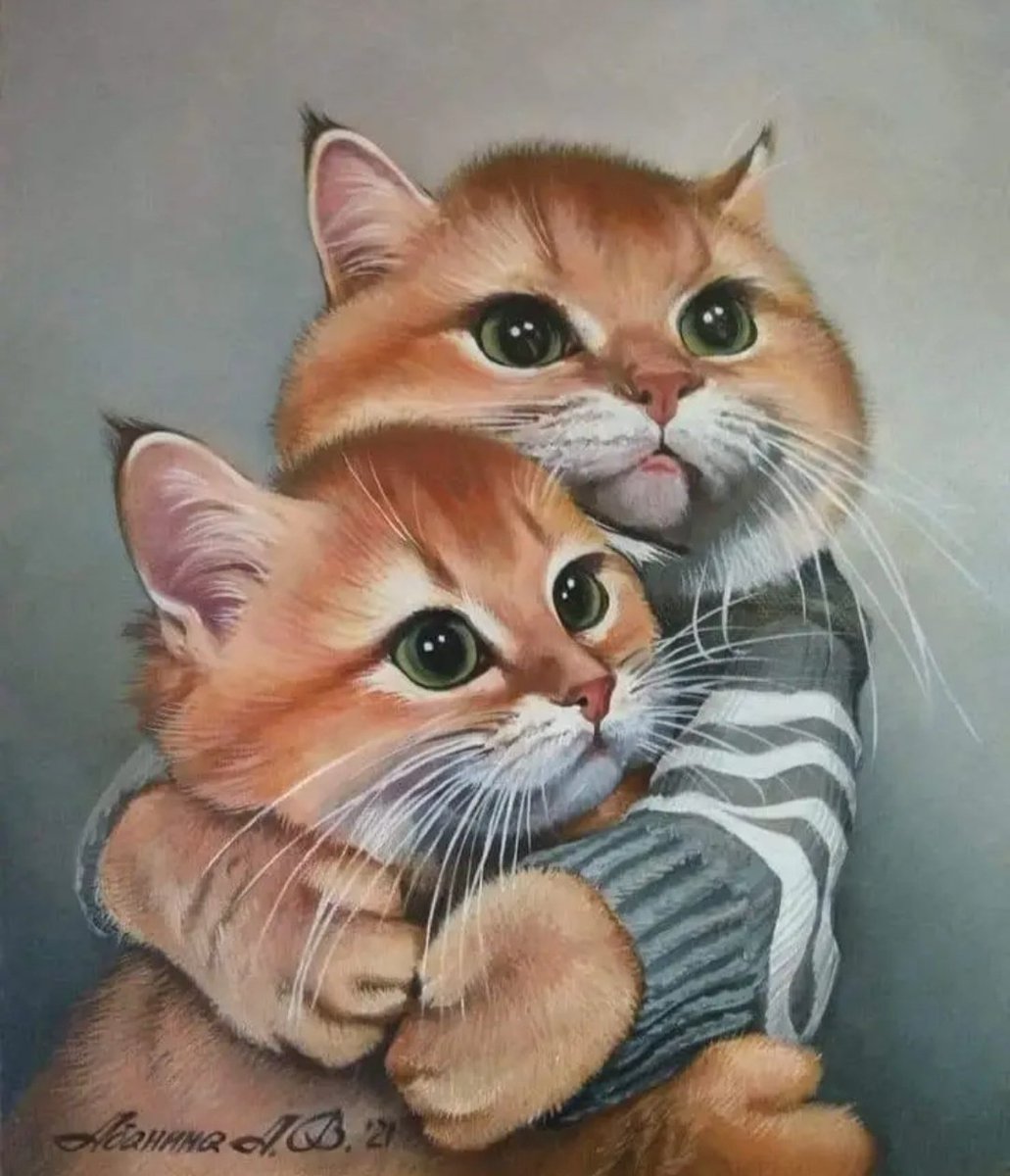 CatsFanus's tweet photo. https://t.co/cAjrs8Q1lF