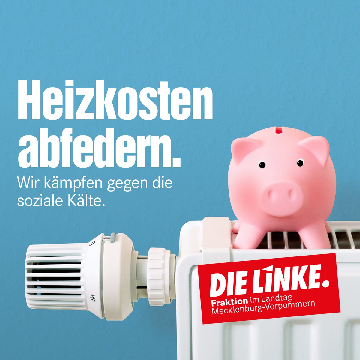 LinksfraktionMV's tweet photo. Die #Heizkosten steigen - für viele Menschen ist das existenzbedrohend!
Deshalb braucht es eine weitere Einmalzahlung in Form eines #Heizkostenzuschlag|s!
#Heizung #Inflation #mvistrot #Gas #Gaspreise #Krise https://t.co/A6L11Tpszv