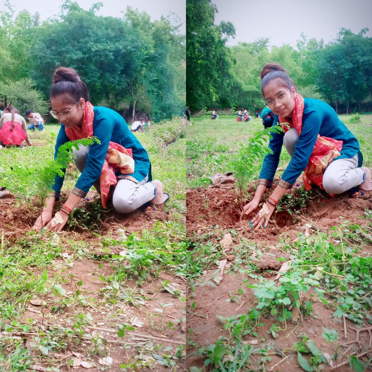 sherniiiii315's tweet photo. पेड़ लगाओ पेड़ बचाओ, इस दुनिया को सुंदर बनाओ…||@abvpgwl
@ABVPMB
@ABVPVoice
#MissionPlantation #abvpmb #abvpvoice #abvpgwl https://t.co/30H7tDOofZ